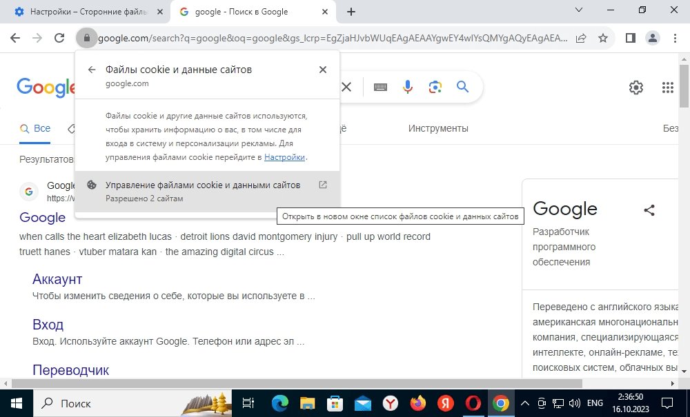 Индивидуальные настройки сайта в браузере Google Chrome