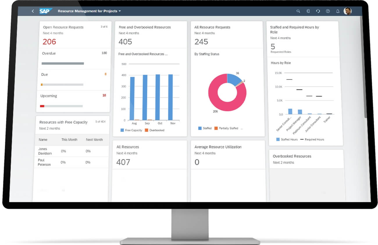 Пример интерфейса популярной ERP-системы SAP